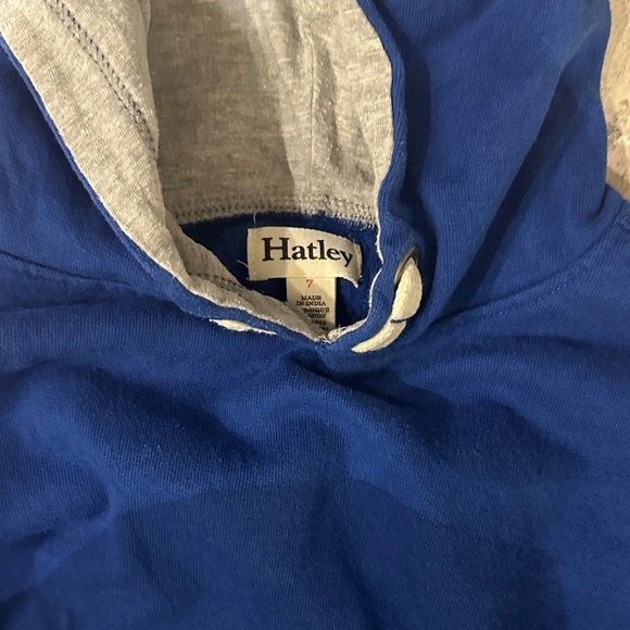 Hatley Blue and Gray Kids Hoodie and Jogger Set - Picture 2 of 6